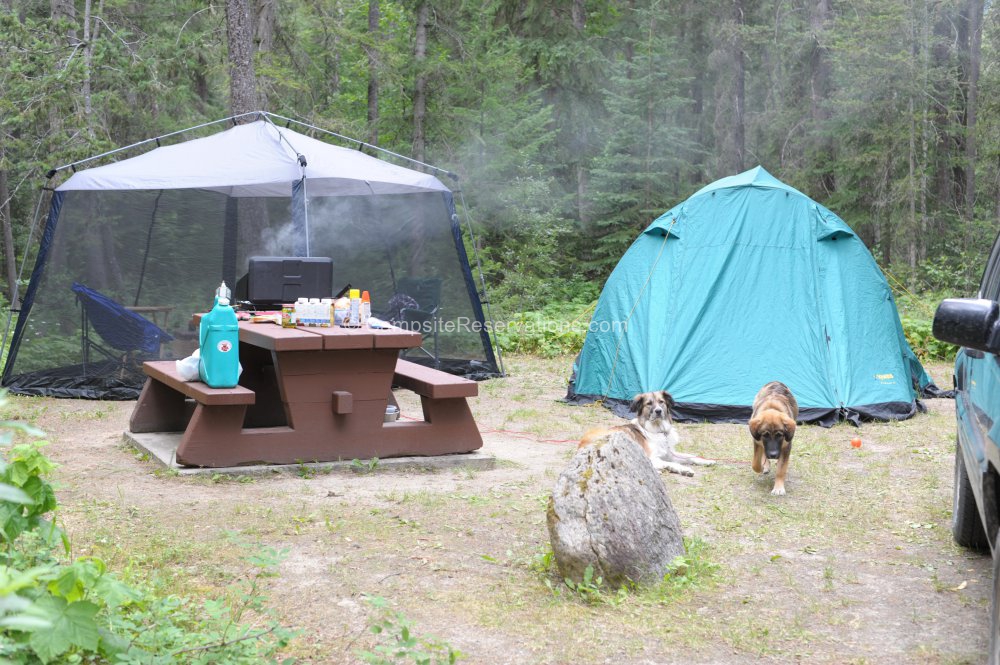Robson Meadows Campground At Mount Robson Provincial Park British robson-meadows-campground-at-mount-robson-provincial-park-british